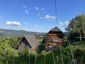 Andi's Berghütte